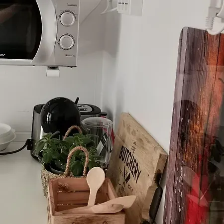 Noe And Joey Apartment