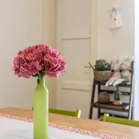 Noe And Joey Lägenhet